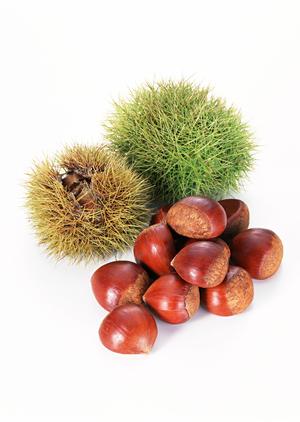 あなたの好みに合ったウイスキーに出会えるお店