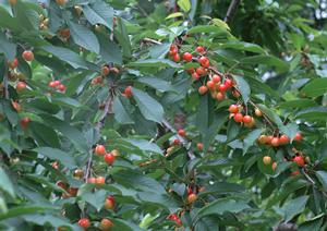 世界中のお酒を豊富に取り揃えているお店です